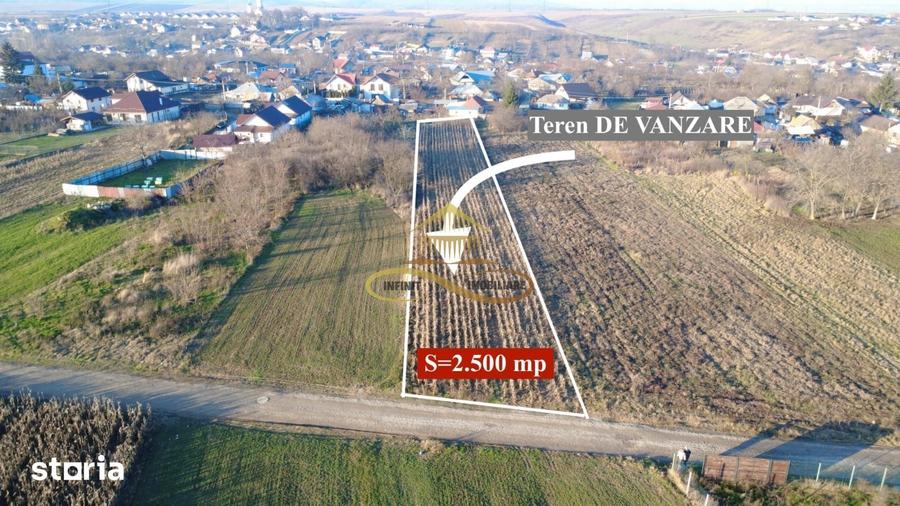 TEREN DE VANZARE MAGURA - 3