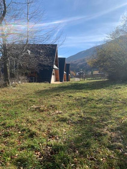 Teren Construcții intravilan de 1000 mp, în Tohănița