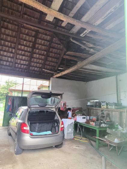 Casă cu 4 camere cu Teren 3665 Mp în Turdaș