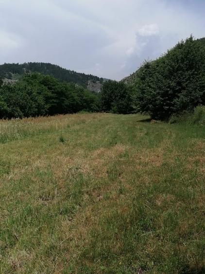 Teren în Central