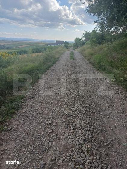 Teren de 2000 mp, în Moara
