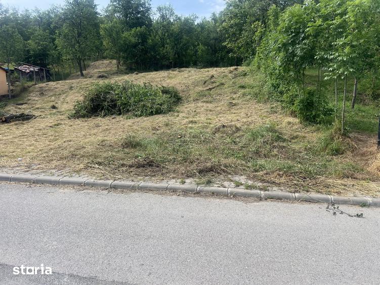Teren de 3900 mp, în Central