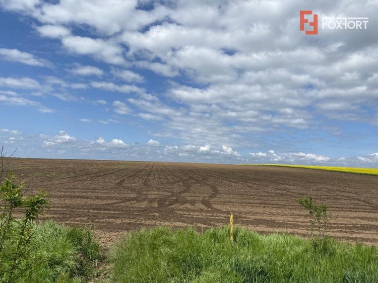 Teren agricol extravilan de 41700 mp, în Sânandrei
