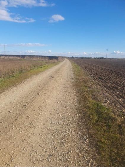 Teren Construcții intravilan de 16608 mp, în 1 Decembrie