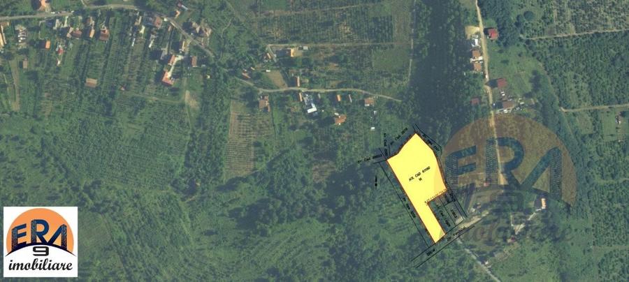 Teren Construcții intravilan de 6372 mp, în Oncea