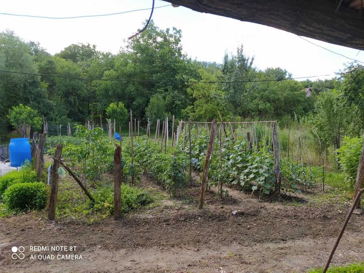 Casă cu 3 camere în Șeulia de Mureș