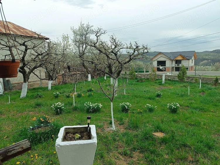 Casă cu 2 camere cu Teren 2650 Mp în Central