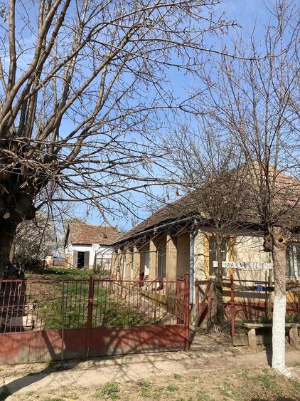 Casă cu 3 camere cu Teren 2200 Mp în Săuca