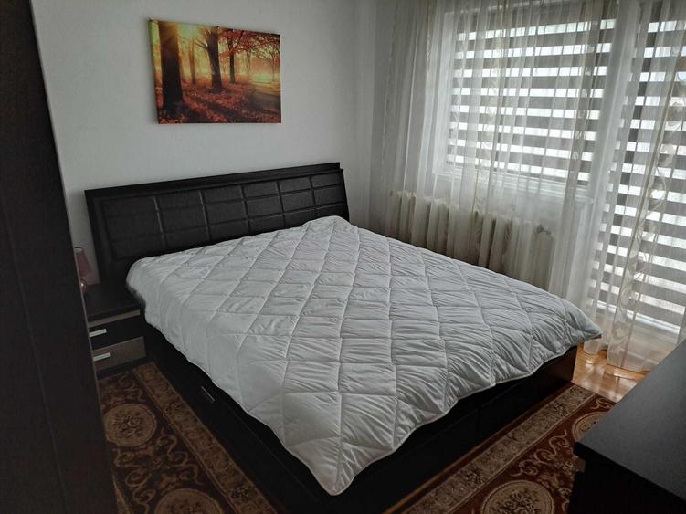 Apartament cu 2 camere decomandat în Ampoi 3