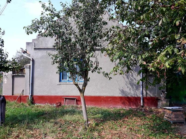 Casă cu 4 camere în Duboz