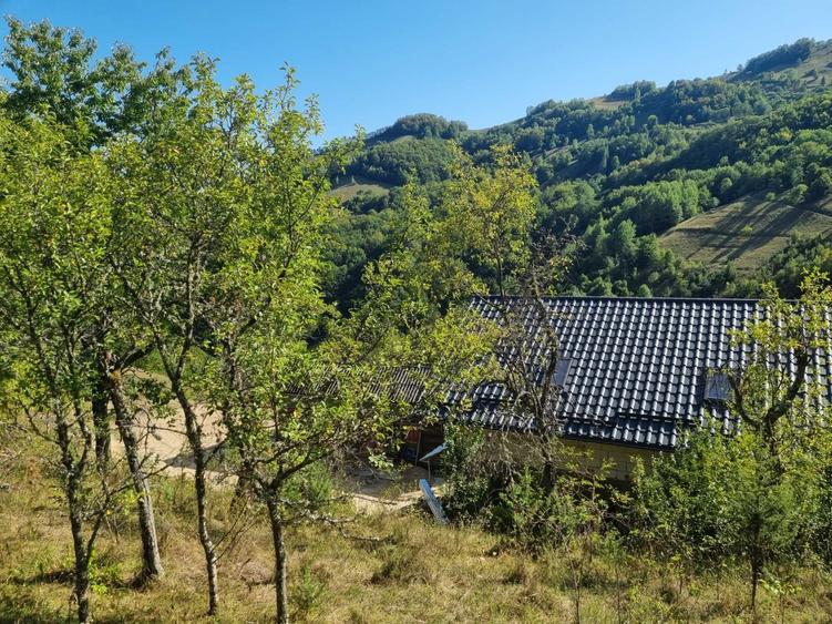 Casă cu 3 camere în Blăjeni