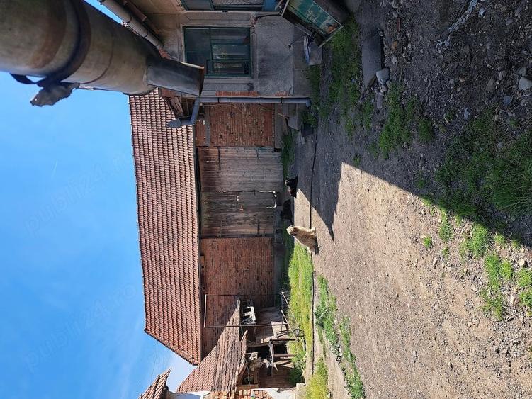 Casă cu Teren 2400 Mp în Târgoviște