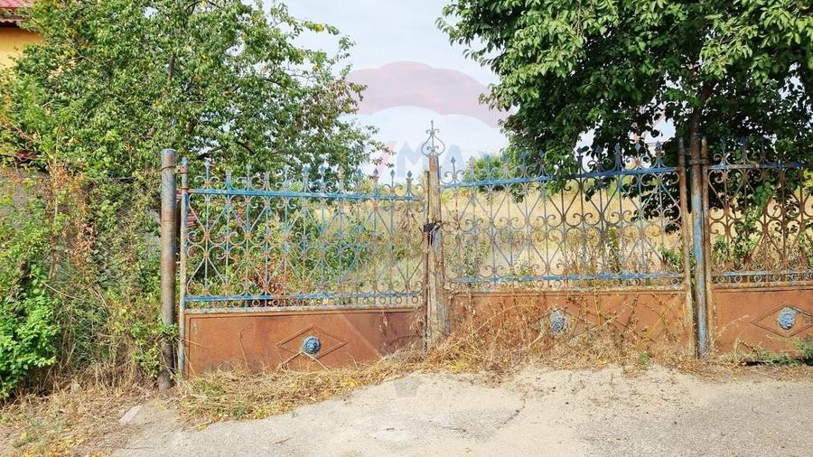 Teren Construcții intravilan de 5207 mp, în Balotești