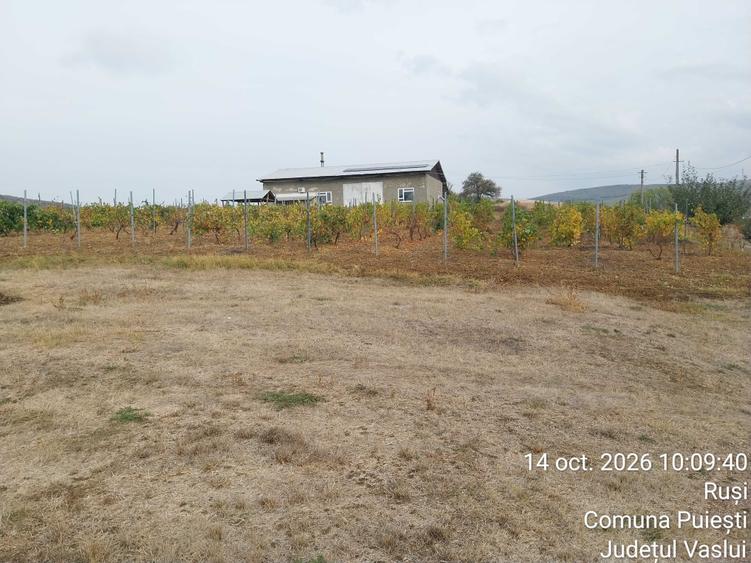 Casă cu 4 camere în Ruși