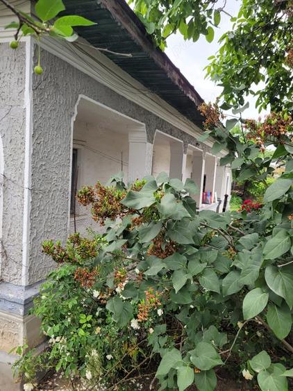 Casă cu 5 camere cu Teren 1351 Mp în Cernica