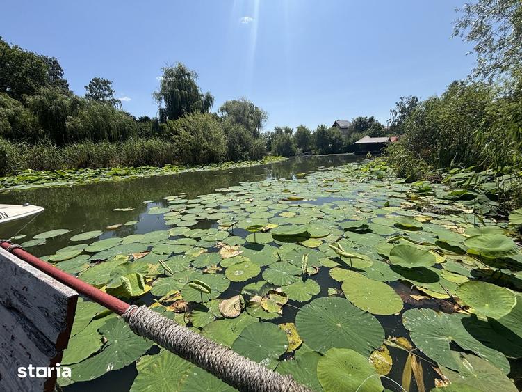 Teren de 8000 mp, în Snagov