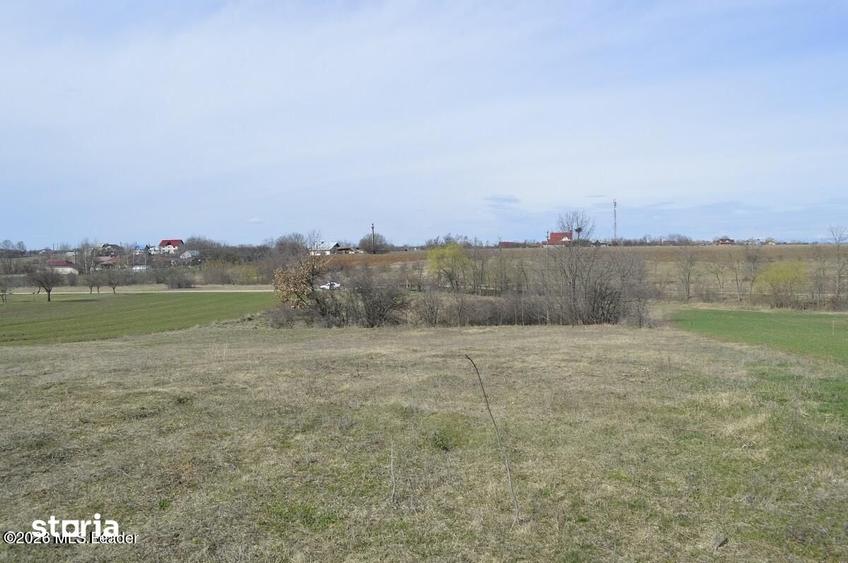 Teren de 4000 mp, în Suseni