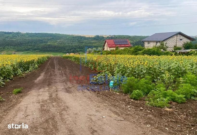 Teren de 550 mp, în Valea Lupului