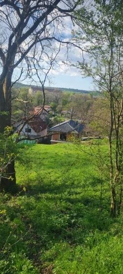 Casă cu Teren 925 Mp în Central