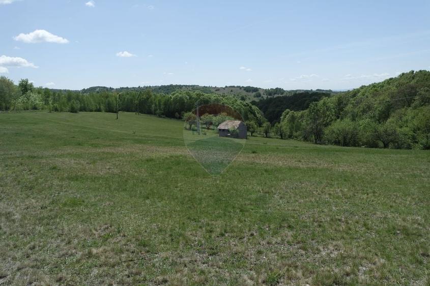 Teren extravilan de 15726 mp, în Preluca Nouă