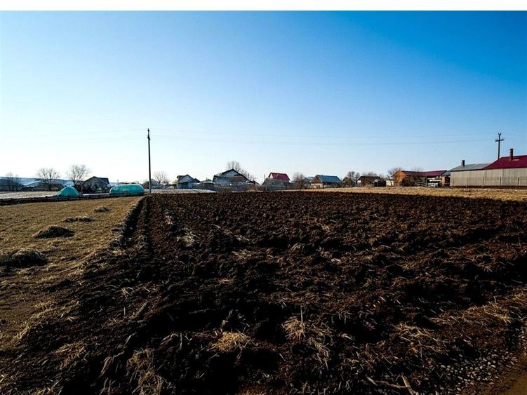 Teren Construcții intravilan de 991 mp, în Moara Carp