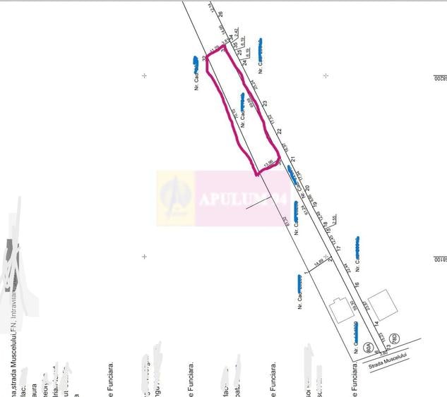 Teren Construcții intravilan de 871 mp, în Mușcel