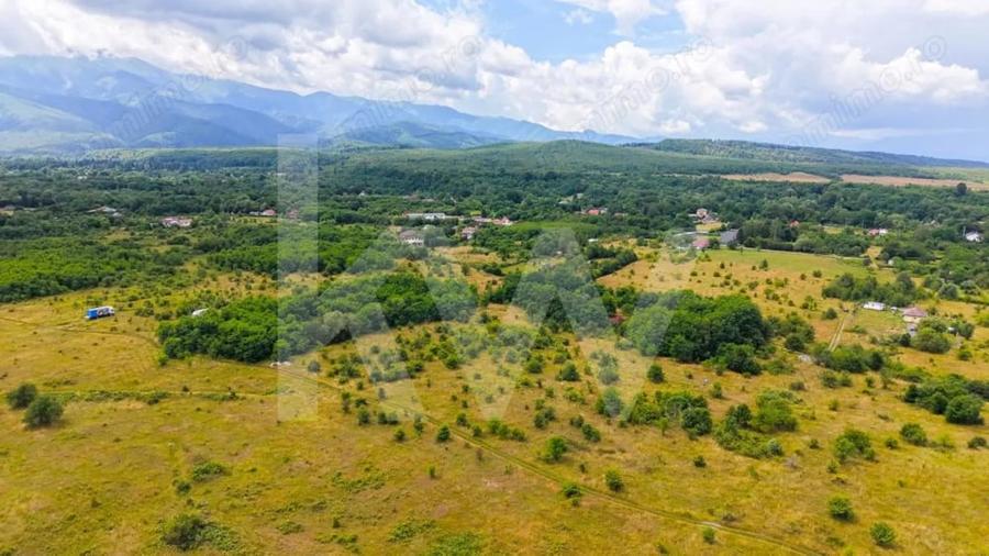 Teren extravilan de vanzare - Valea Avrigului, Sibiu - 6