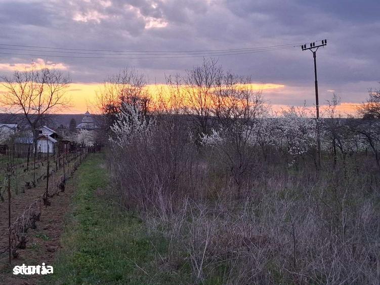 Teren de 3715 mp, în Boldești