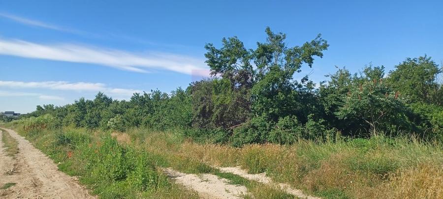 Teren în Central