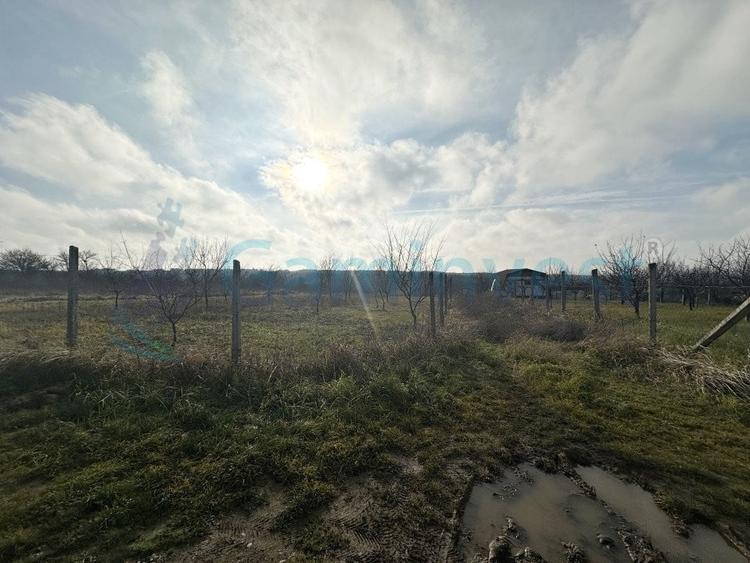 Teren agricol extravilan de 5508 mp, în Episcopia Bihorului