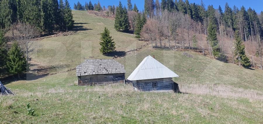Teren Construcții extravilan de 206189 mp, în Vatra Dornei