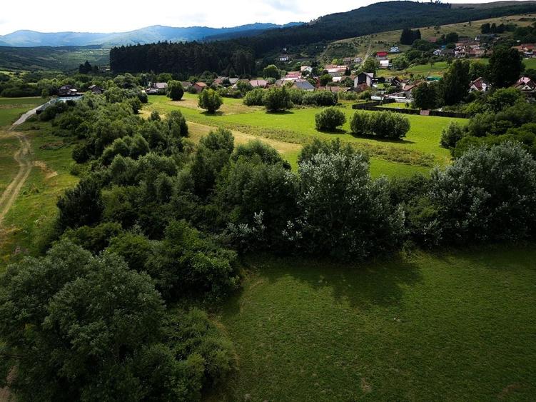 Teren de 800 mp, în Cărpiniș