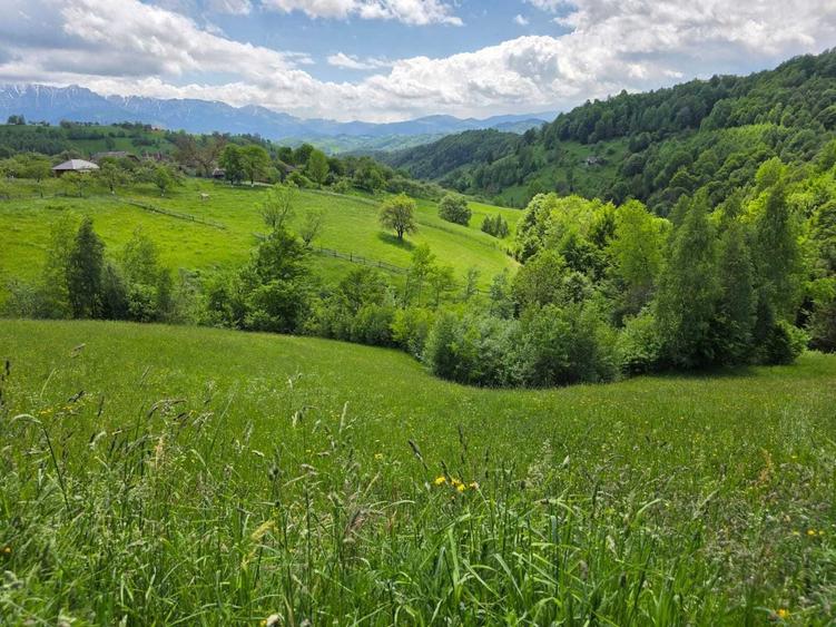 Teren de 1940 mp, în Măgura
