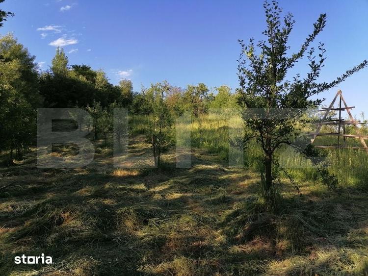 Teren de 14400 mp, în Voinești