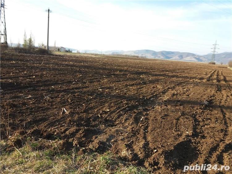 Teren de 18000 mp, în Central