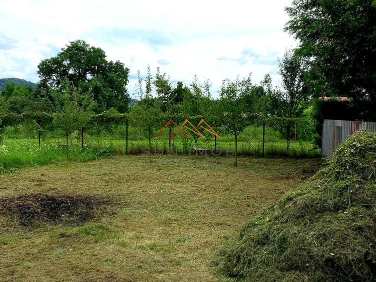 Teren Construcții intravilan de 805 mp, în Brebu Megieșesc
