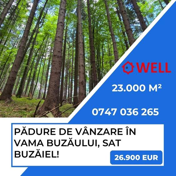 Teren agricol extravilan de 23000 mp, în Vama Buzăului