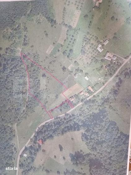 Teren de vanzare, 10.000 mp - Bistrita Bargaului, zona turistica - 2
