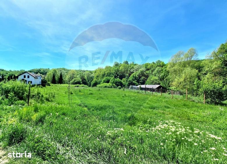 Teren de 8300 mp, în Mărgineni