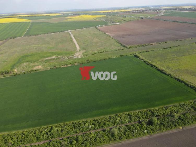 Teren extravilan 10 ha -Giarmata, langa nodul de autostrada - 4