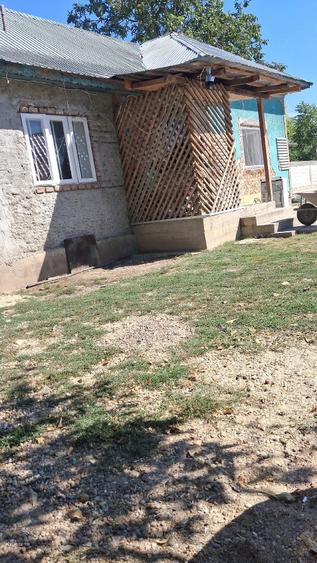 Casă cu Teren 1500 Mp în Orbeasca