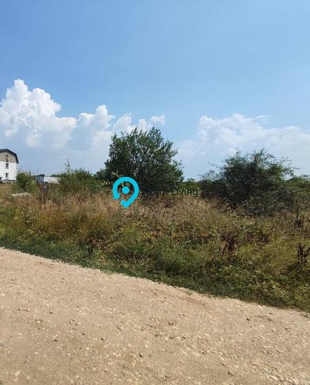 Teren Construcții intravilan de 4000 mp, în Haliu