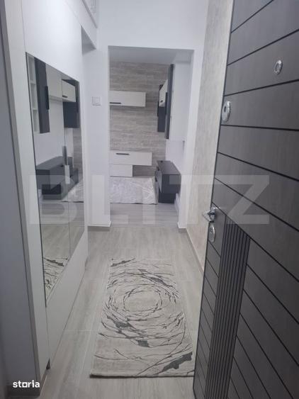 Apartament cu 2 camere nedecomandat, mobilat în Alexandru cel Bun