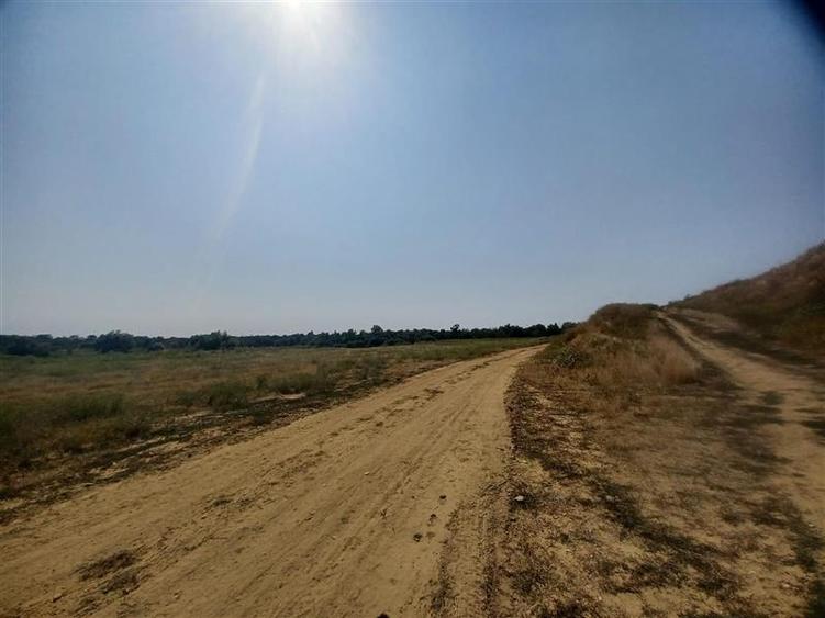 Teren extravilan de 38000 mp, în Adunații-Copăceni