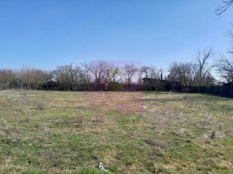 Teren de 2000 mp, în Chiroiu-Satu Nou