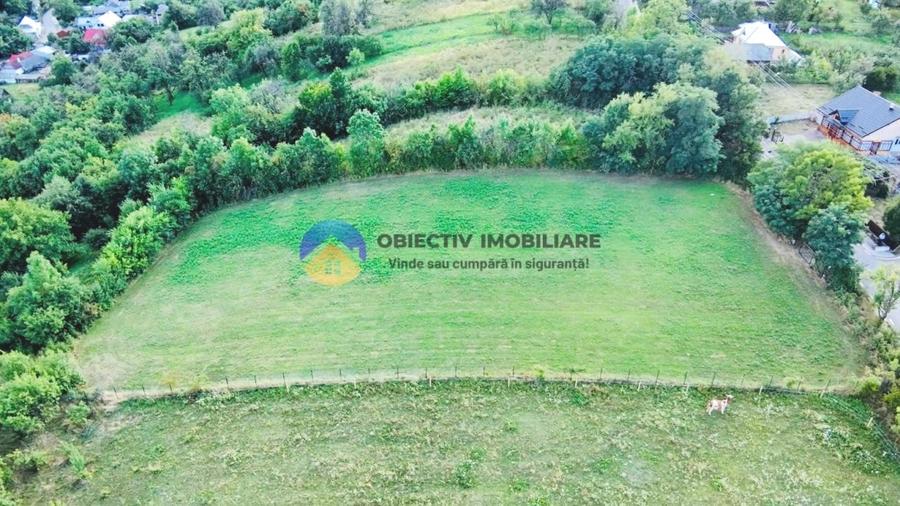 Teren intravilan de 3511 mp, în Bălțătești