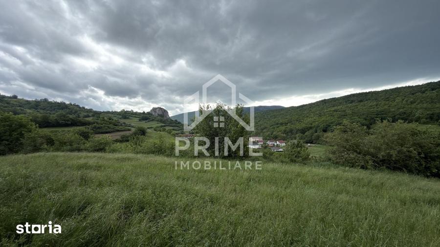 Teren de 4000 mp, în Cricău