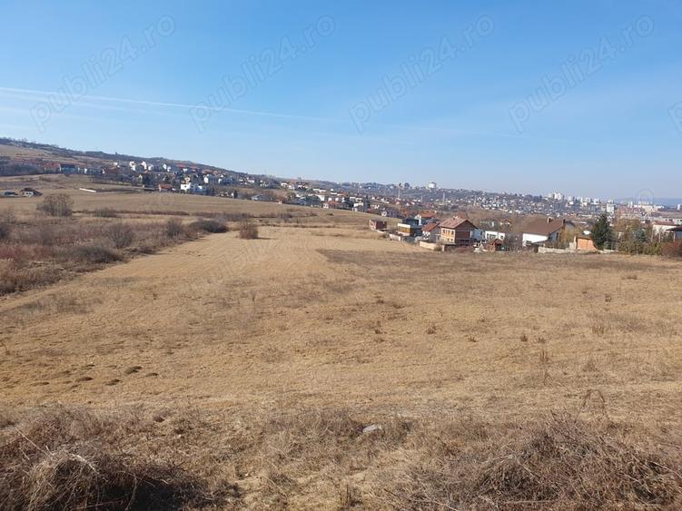 Teren de 5000 mp, în Borhanci