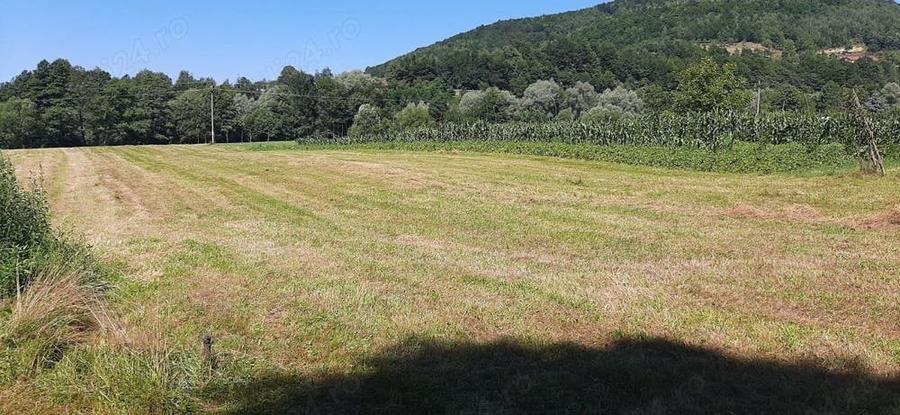 Teren de 3943 mp, în Negreni