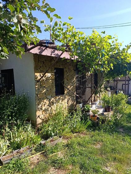 Vand casa Ciucurova, Tulcea - 5